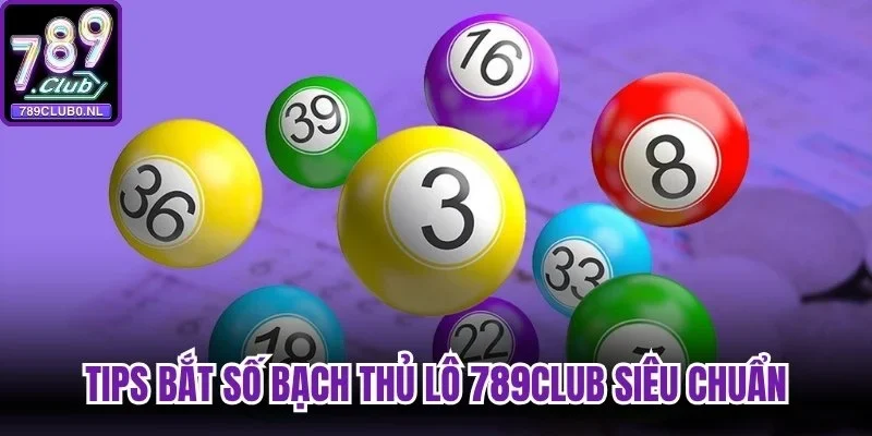 Tips bắt số Bạch Thủ Lô 789club siêu chuẩn