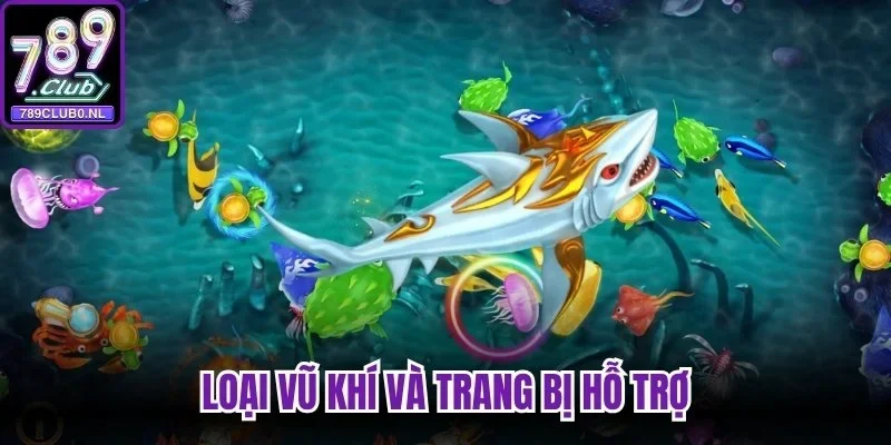 Loại vũ khí và trang bị hỗ trợ