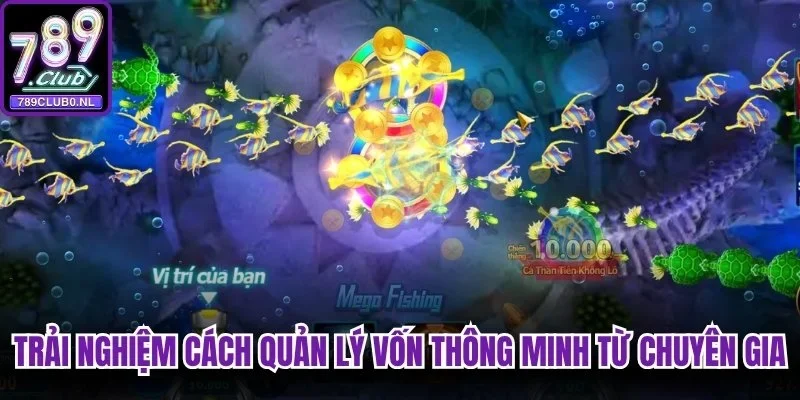 Trải nghiệm cách quản lý vốn thông minh từ chuyên gia