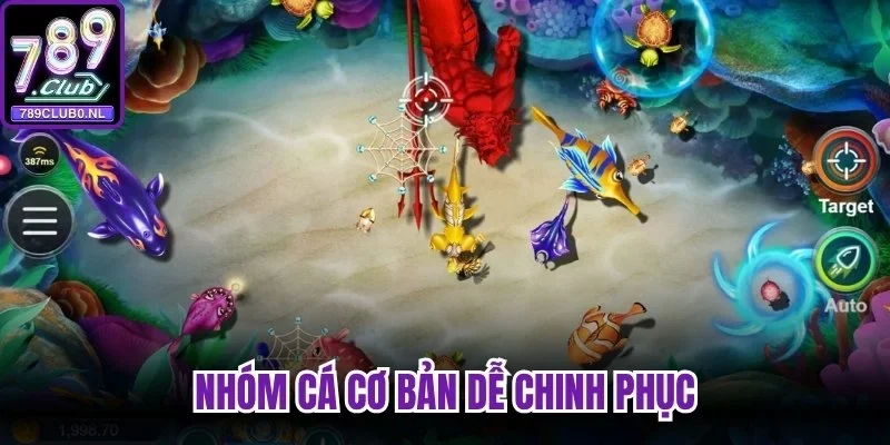 Nhóm cá cơ bản dễ chinh phục