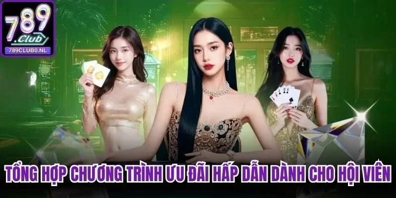 Tổng hợp chương trình ưu đãi hấp dẫn dành cho hội viên