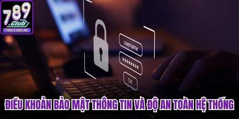 Điều khoản bảo mật thông tin và độ an toàn hệ thống