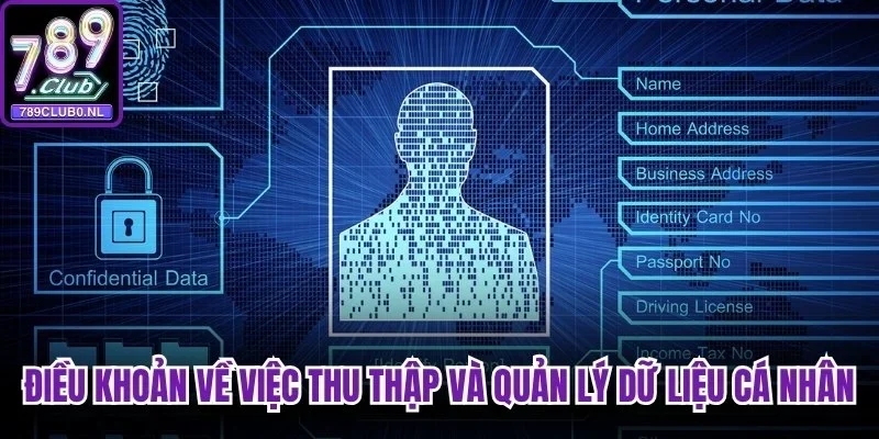 Điều khoản cụ thể về việc thu thập và quản lý dữ liệu cá nhân
