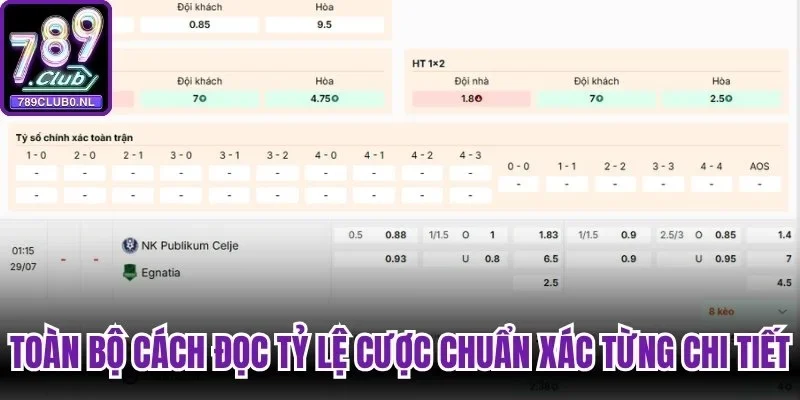 Toàn bộ cách đọc tỷ lệ cược chuẩn xác từng chi tiết