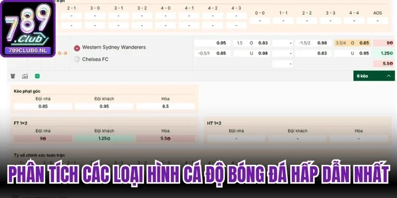 Phân tích các loại hình cá độ bóng đá hấp dẫn nhất