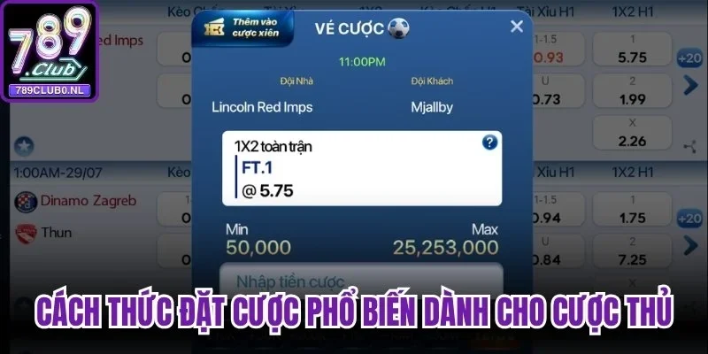 Những cách thức đặt cược phổ biến dành cho mọi cược thủ